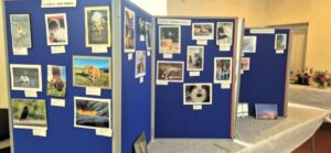 Class: Photography - Gwinear Show 2026 - 50th Anniversary Show